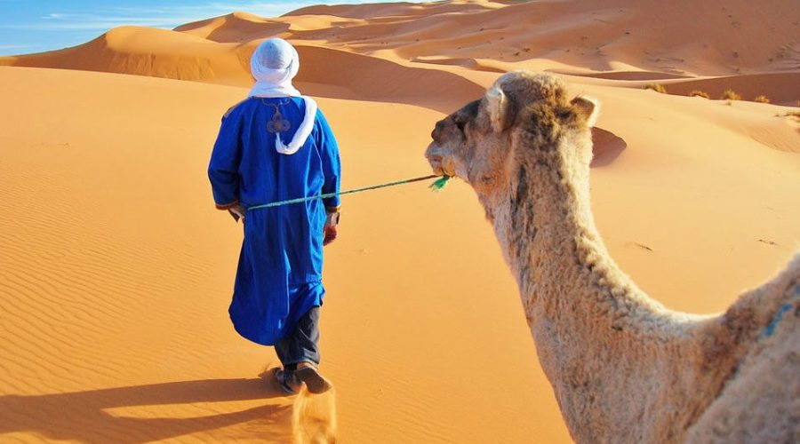 desert-Morocco