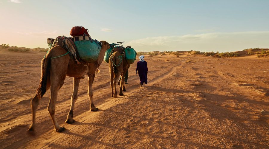 traveler in morocco (25)